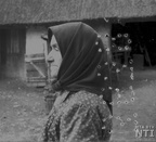 Csakberenyi fotok 1966 vizjellel-45