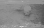 Csakberenyi fotok 1966 vizjellel-99