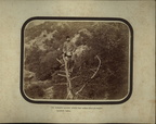 Pribek Antak fotoi-10