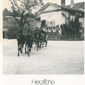 Meran birtok-1